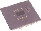 A typical socket-type CPU